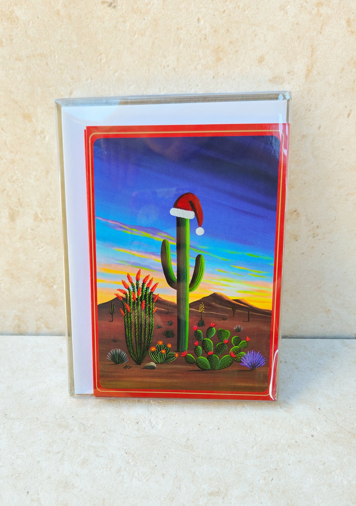 Boxed set of 6 Arizona Christmas cards by Brenda