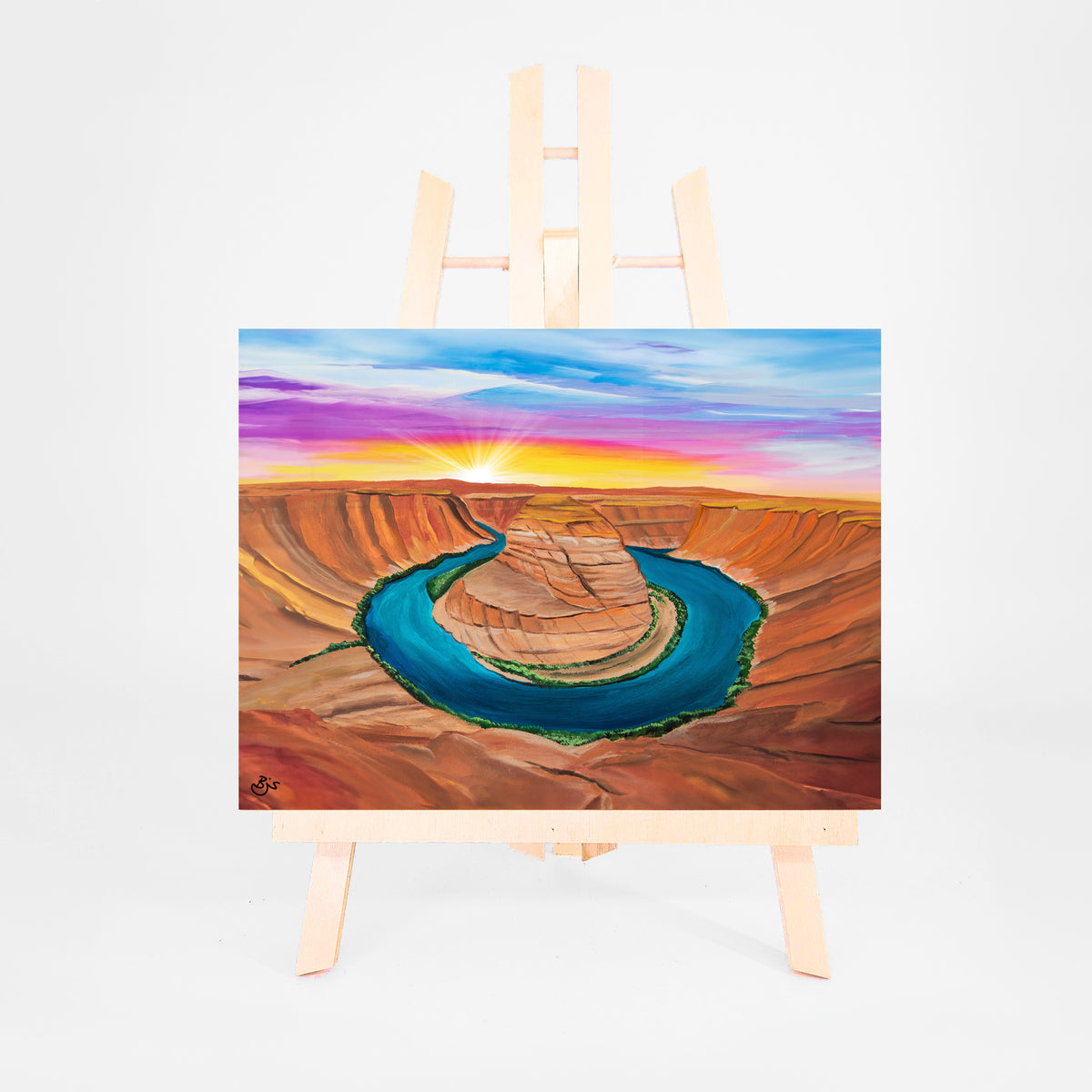 Horseshoe Bend 8x10 art print by Brenda